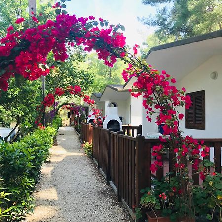 Camping Villaggio Internazionale Сан-Менайо Экстерьер фото