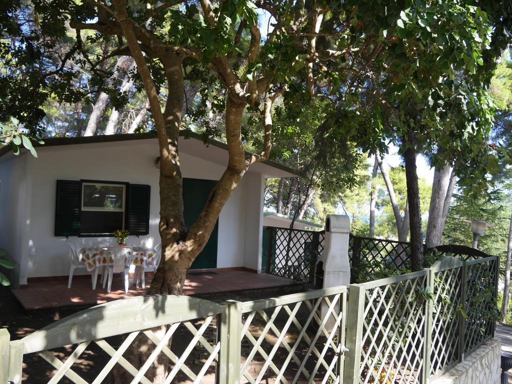 Camping Villaggio Internazionale Сан-Менайо Номер фото