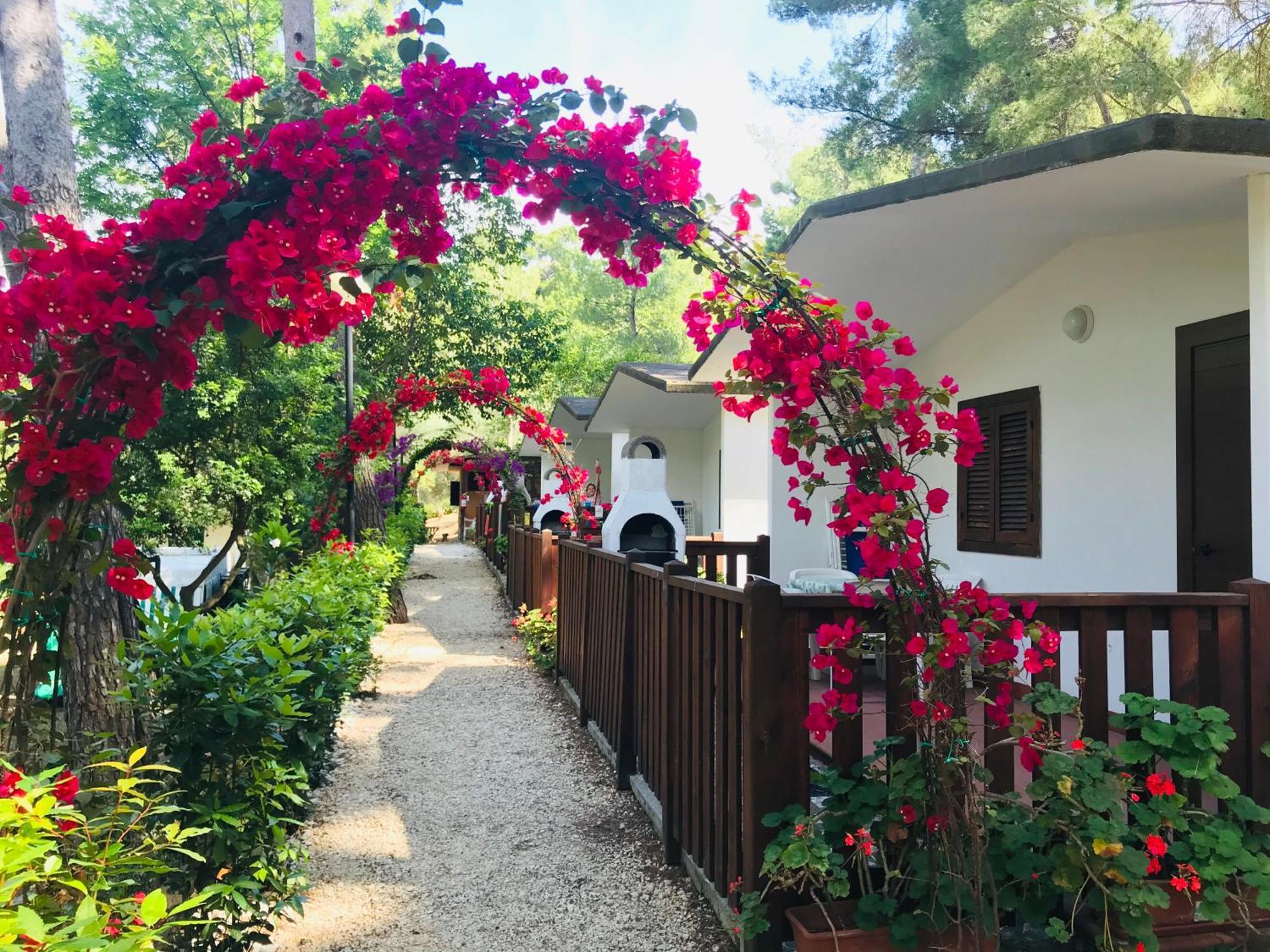Camping Villaggio Internazionale Сан-Менайо Экстерьер фото