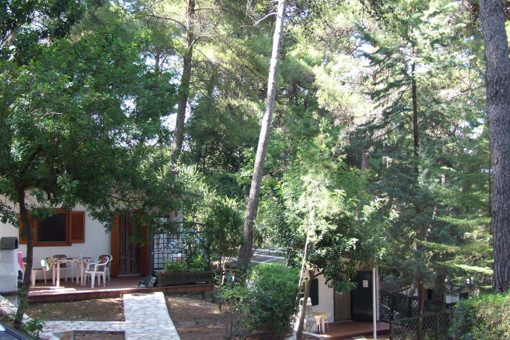 Camping Villaggio Internazionale Сан-Менайо Номер фото