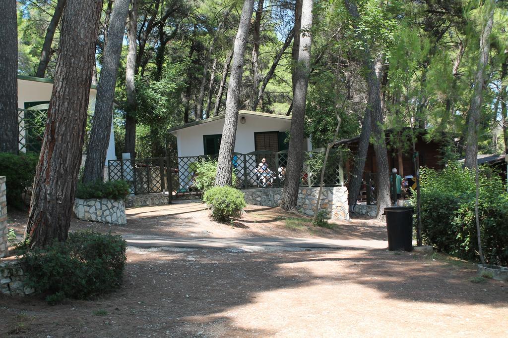 Camping Villaggio Internazionale Сан-Менайо Номер фото